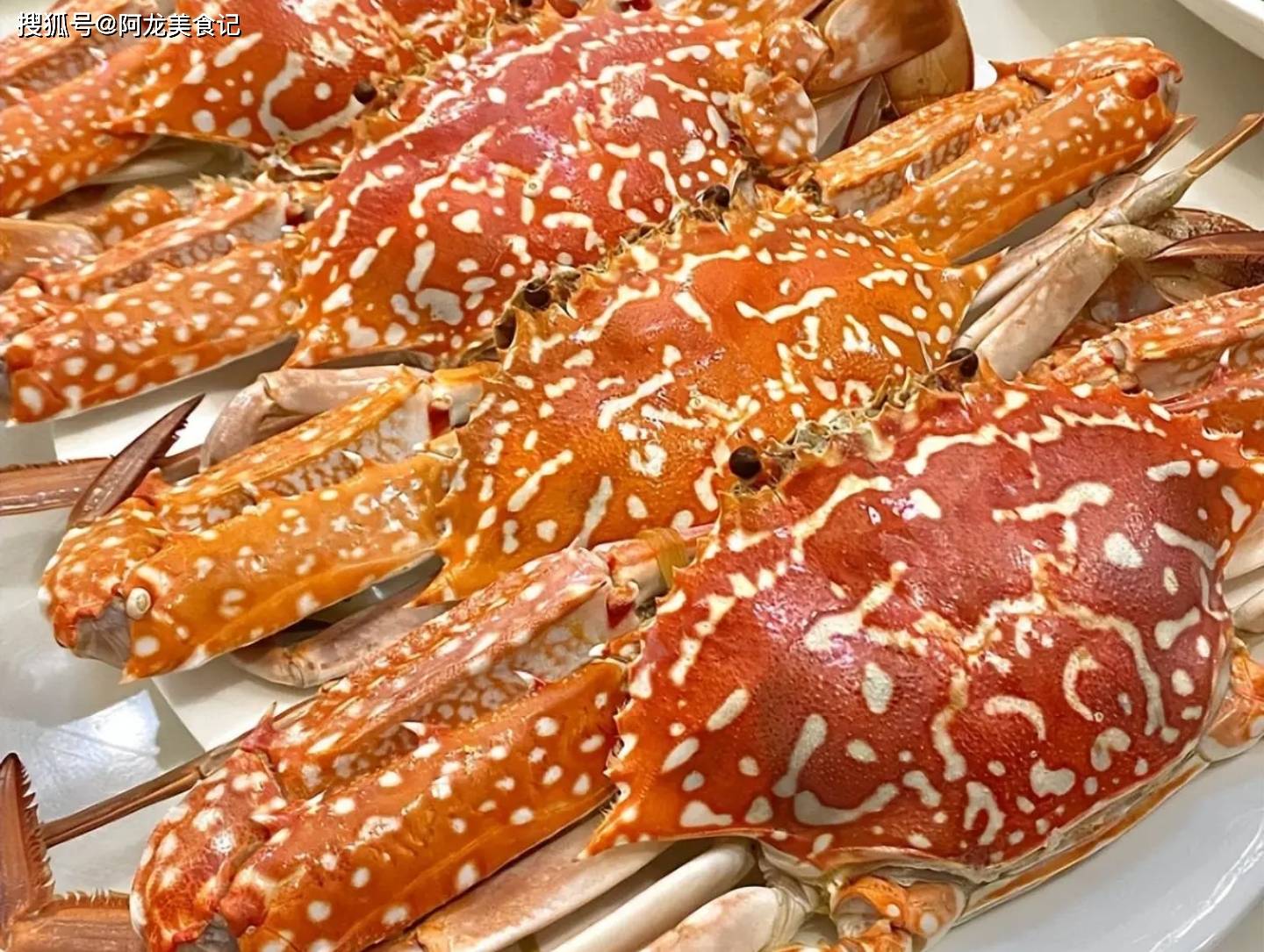 清蒸兰花蟹:这道菜以新鲜的兰花蟹为主要材料,经过精心清洗后,用清蒸