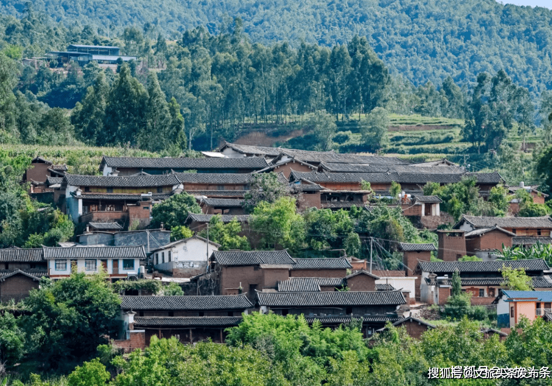 全国主流媒体走进双柏,让世界听见"双柏的声音"_大庄镇_双柏县_绿孔雀