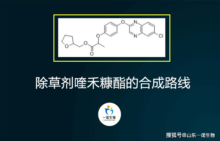 除草剂喹禾糠酯的合成路线_安全性_羟基_反应