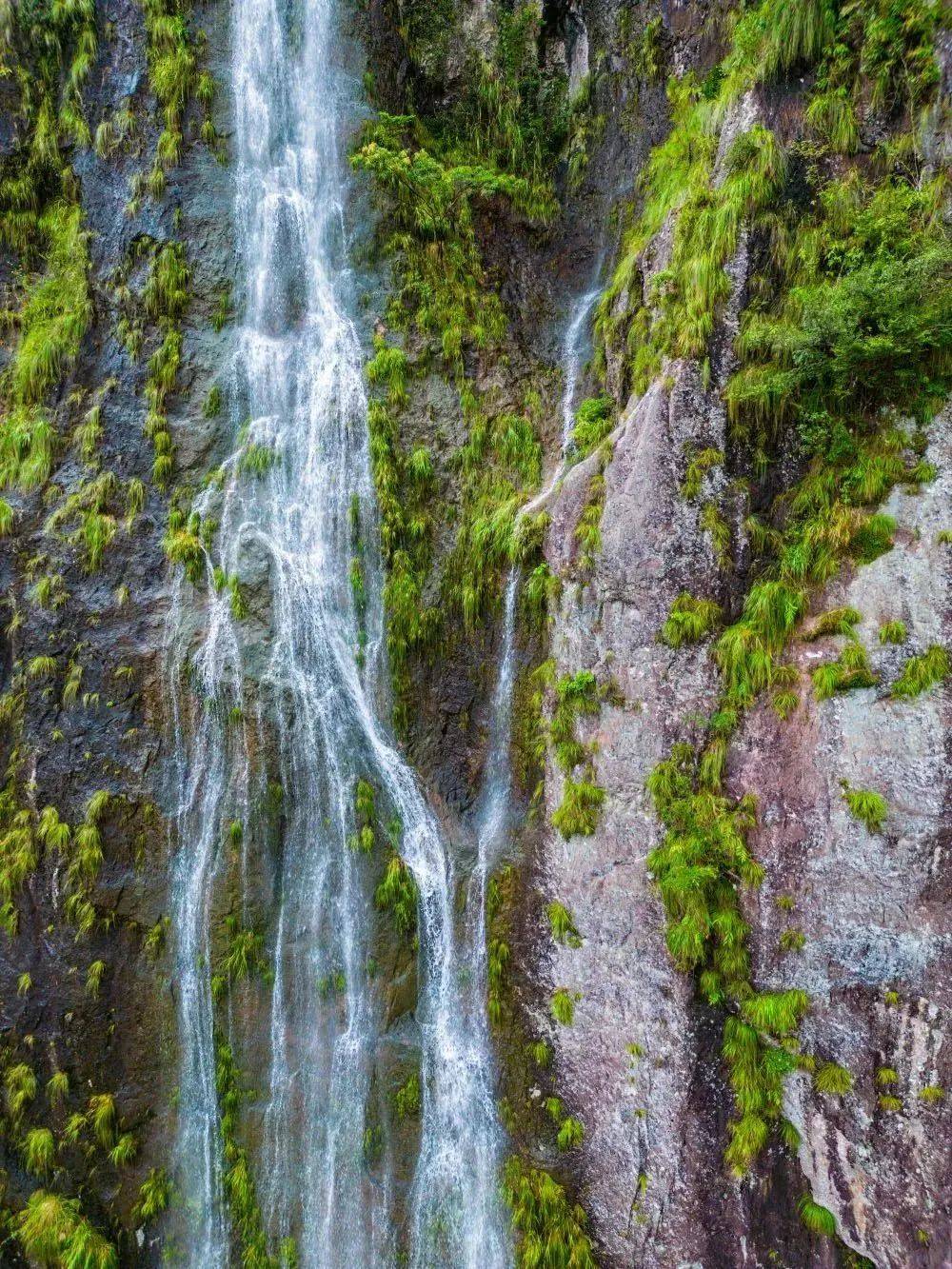 city walk|速来查收这份温州20大瀑布游览指南_景区_雁荡山_落差