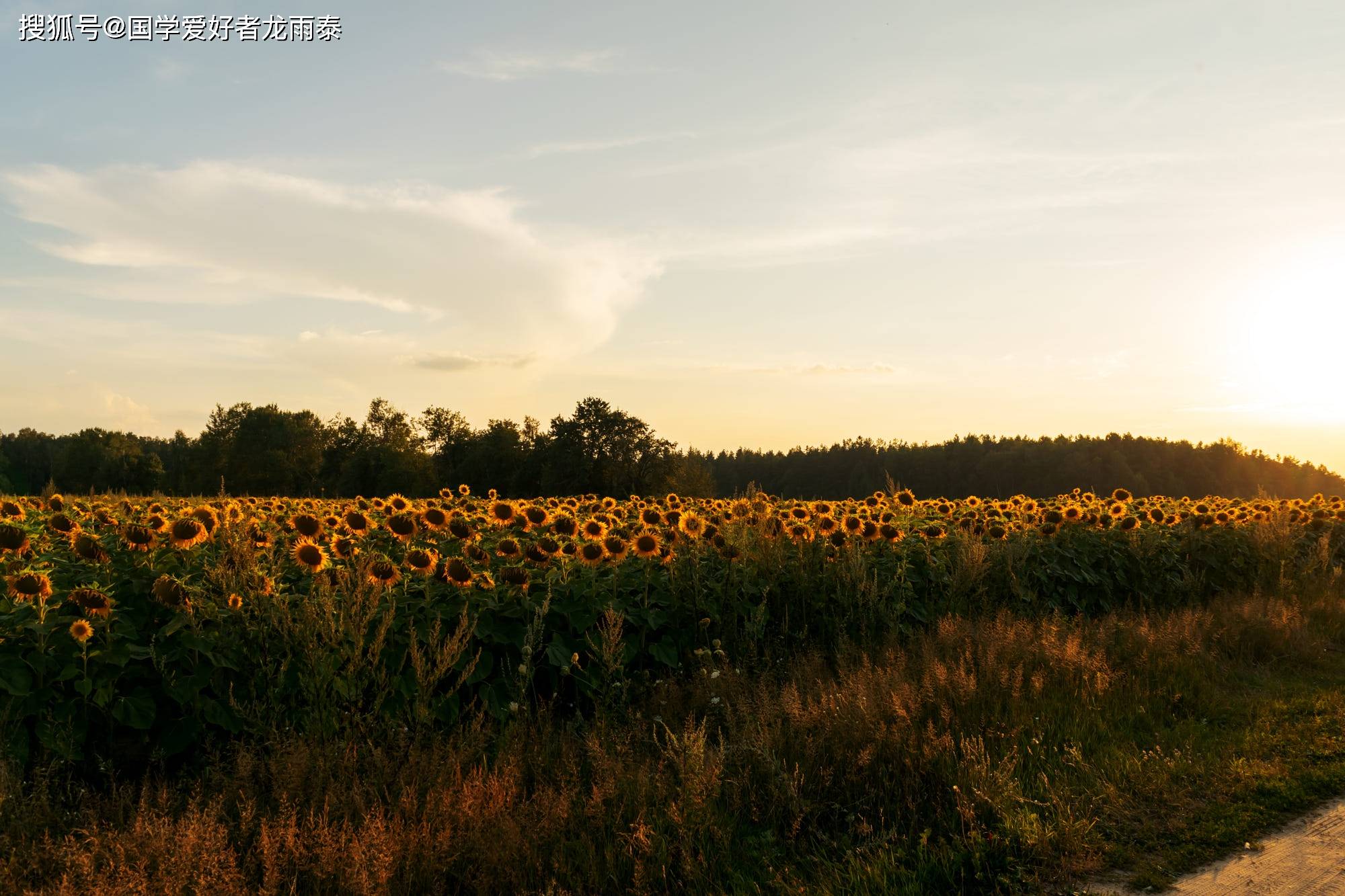 十月份属羊的朋友 命宫中飞临天德,福星与攀鞍 使得本月在阴德的庇荫