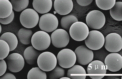 二氧化硅微球800微米；SiO2microsphere