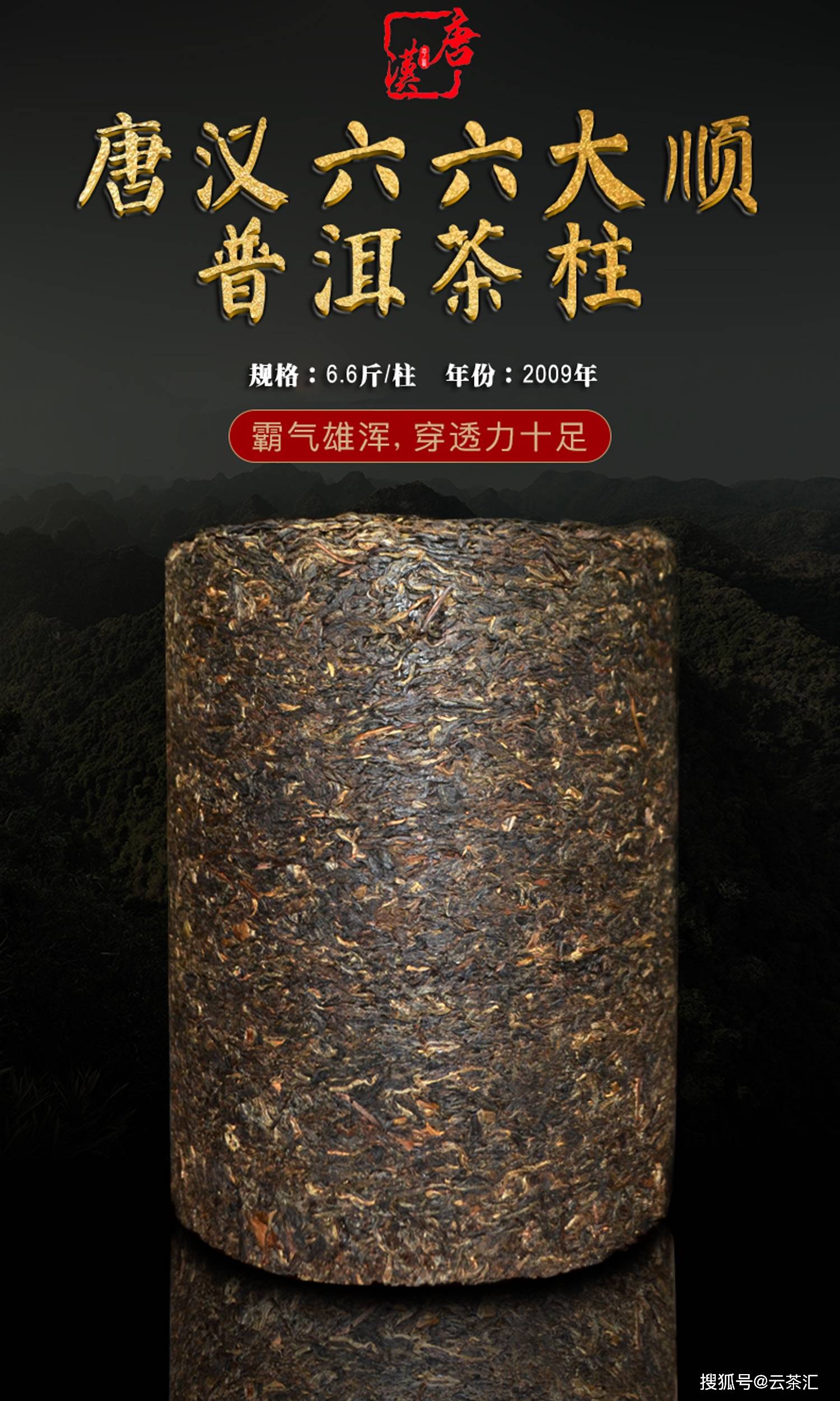 唐汉普洱2009年六六大顺古树茶柱!