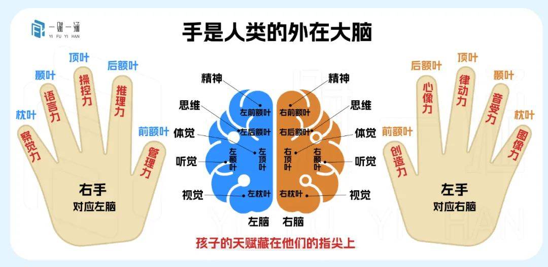 一赋一涵bmsm天赋测评|手指指纹上有一个孔雀眼纹型是什么?