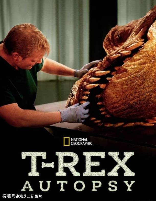 10126-国家地理《解剖霸王龙 T. Rex Autopsy 2015》英语中英双字 官方纯净版 1080P/MKV/4.96G 霸王龙