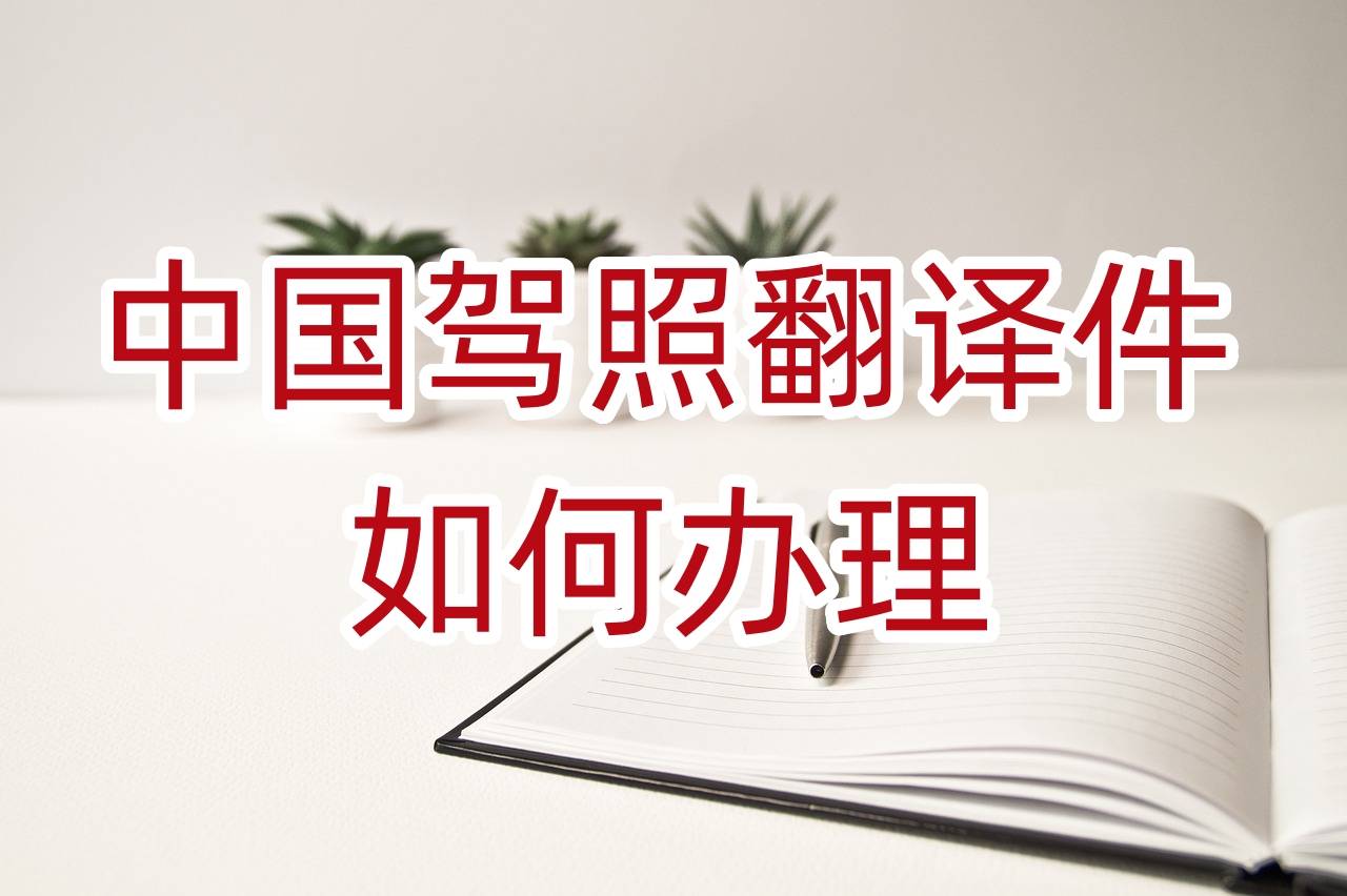 中国驾照翻译件如何办理_相关_驾驶证_机构