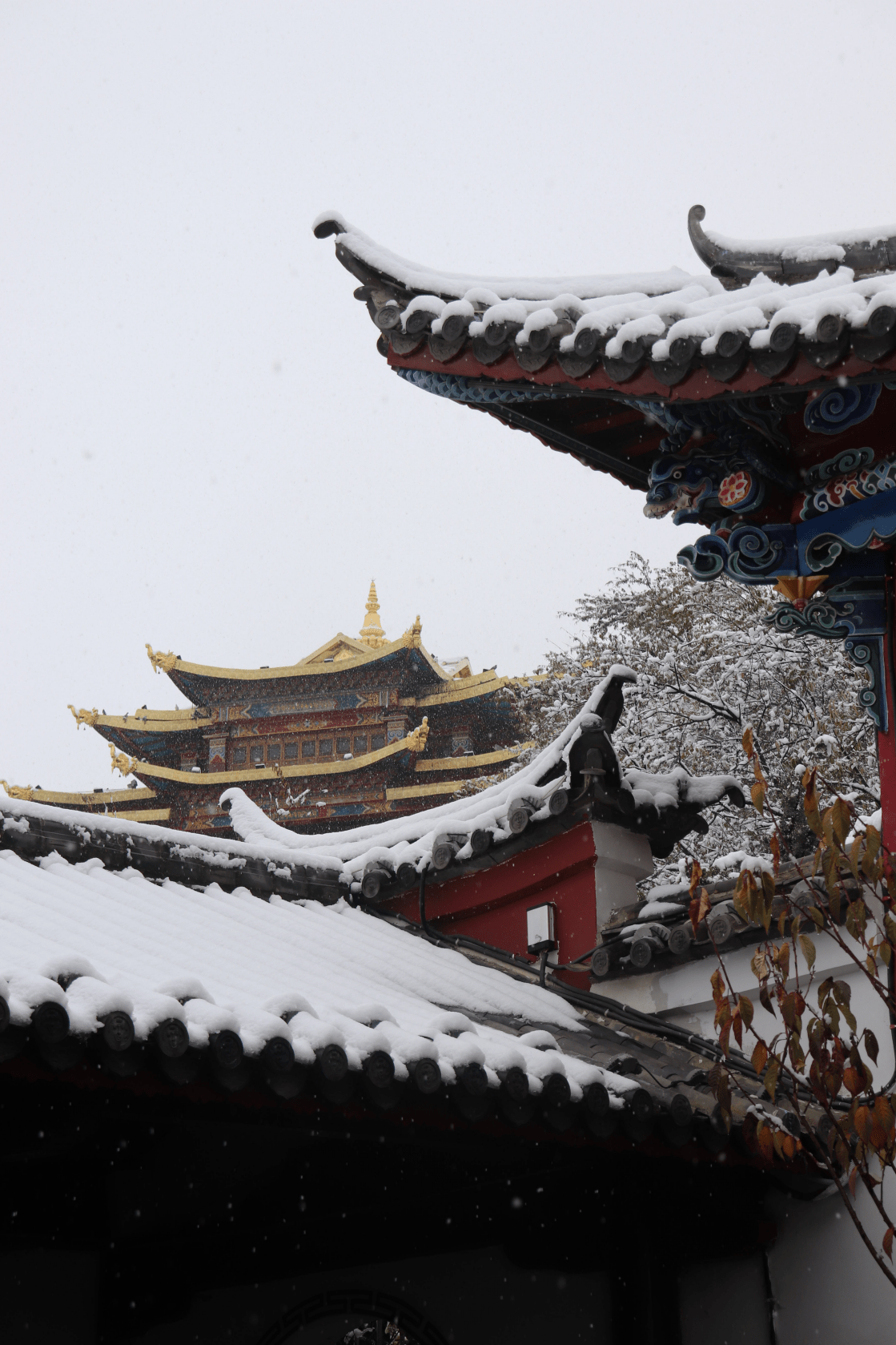 雪落古城,香格里拉"初雪"美如画!_雪景_游人_冬日