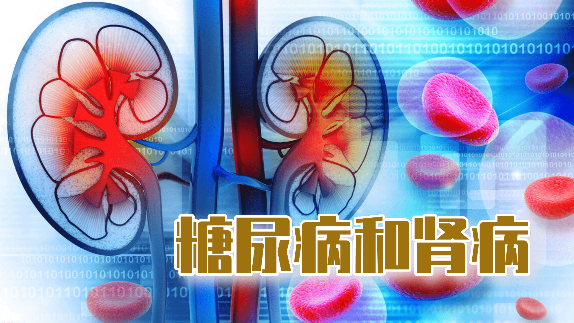 糖尿病腎病不用急,一方幫你調健康_血糖_控制_空腹