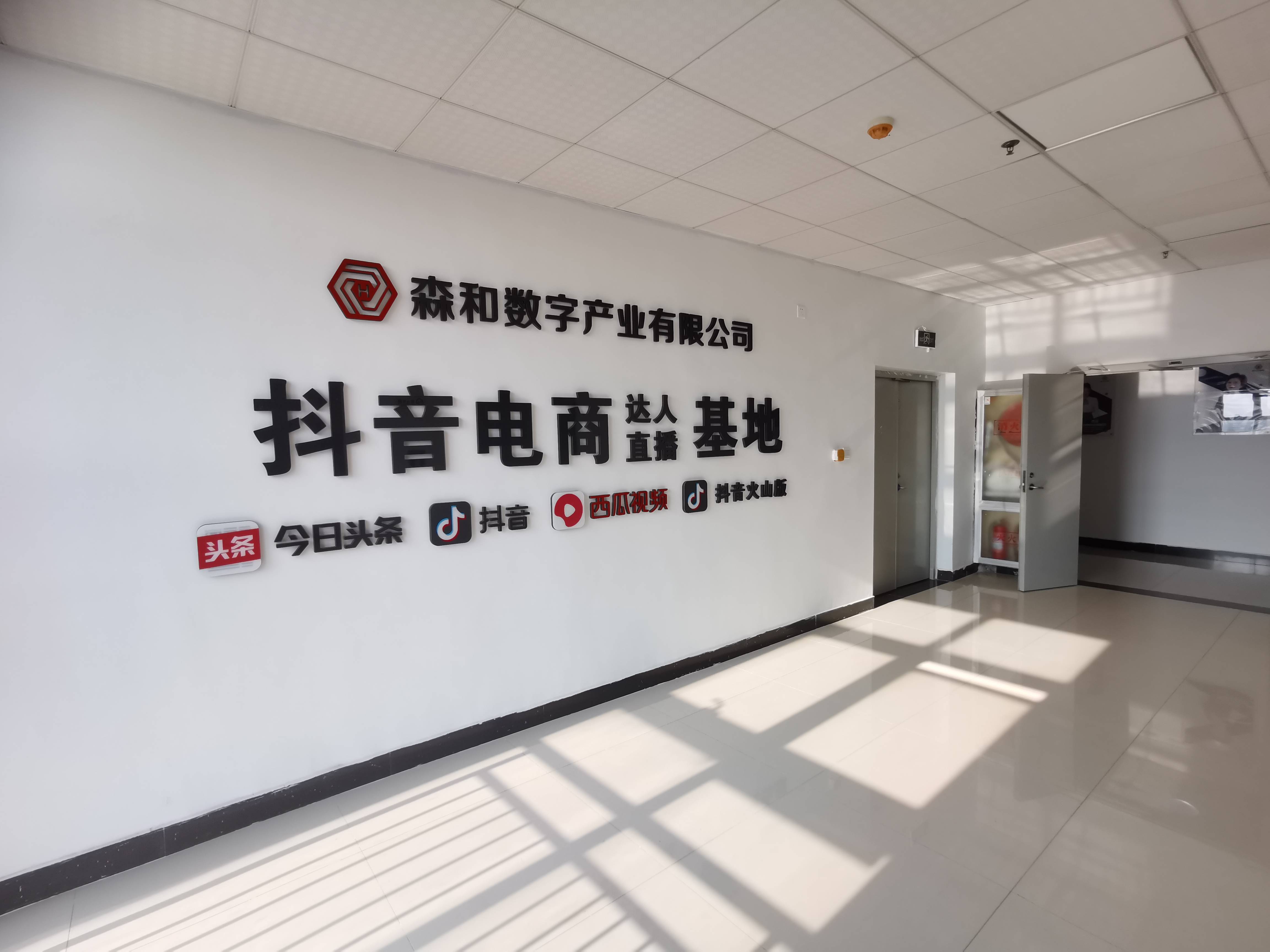 引领抖音直播创新潮流,助力创作者蓬勃发展