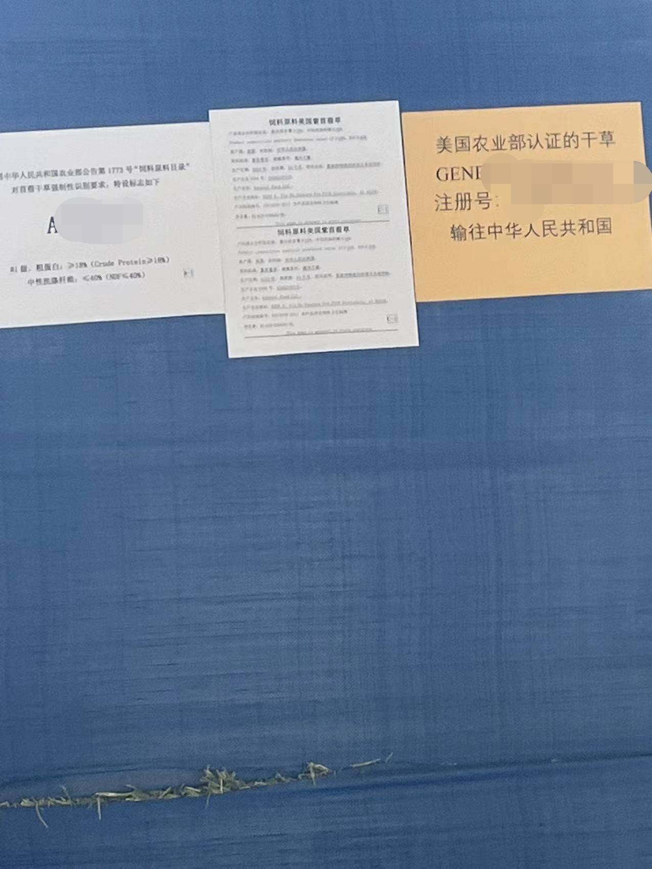 天津港動物飼料進口報關與清關實戰手冊:從入門到精通_and_the_資料