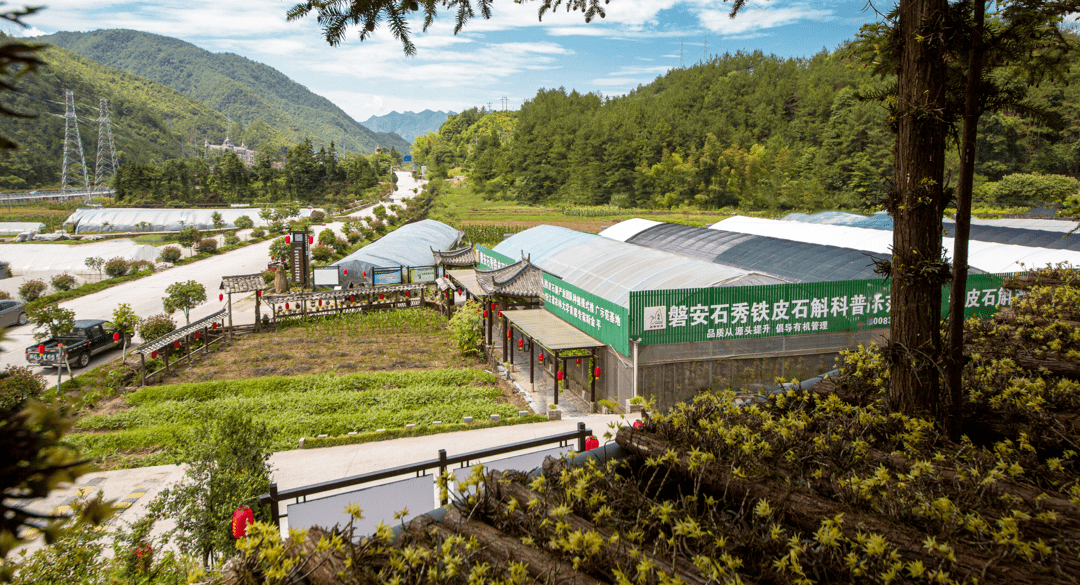 天一中医院(天一中医院怎么样)