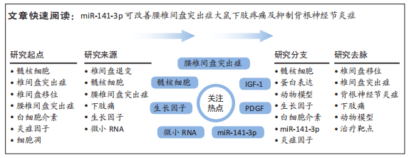 mir-141-3p對腰椎間盤突出症大鼠背根神經節炎症及的