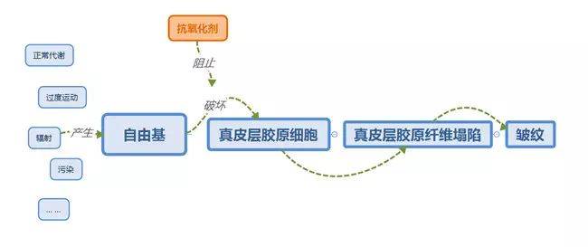 小美|美康小课堂 | 早C晚A，到底是个什么黄金cp？