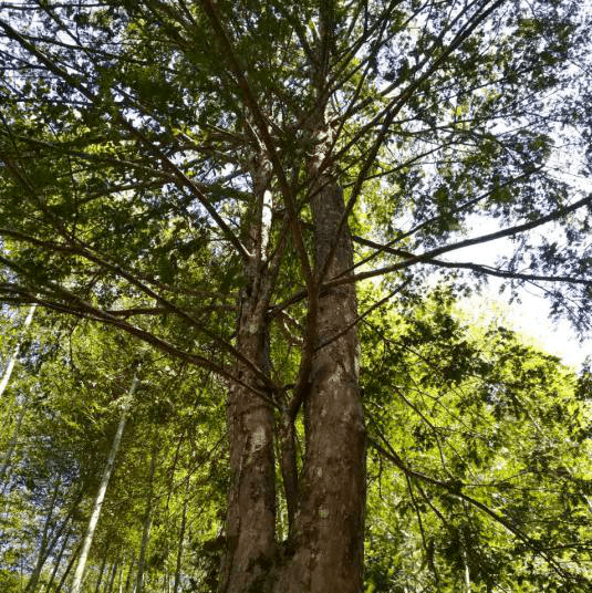 带你走进龙岩地质公园