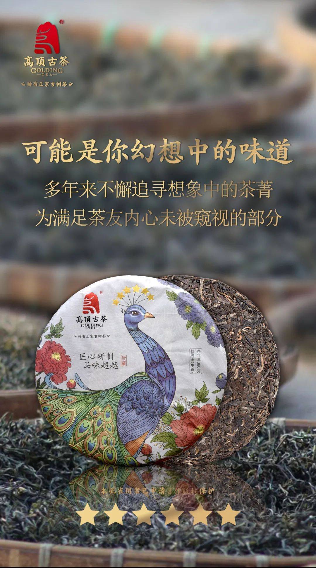 高顶孔雀六星上市芽叶万中选一铸就精妙而圆融的巅峰口感