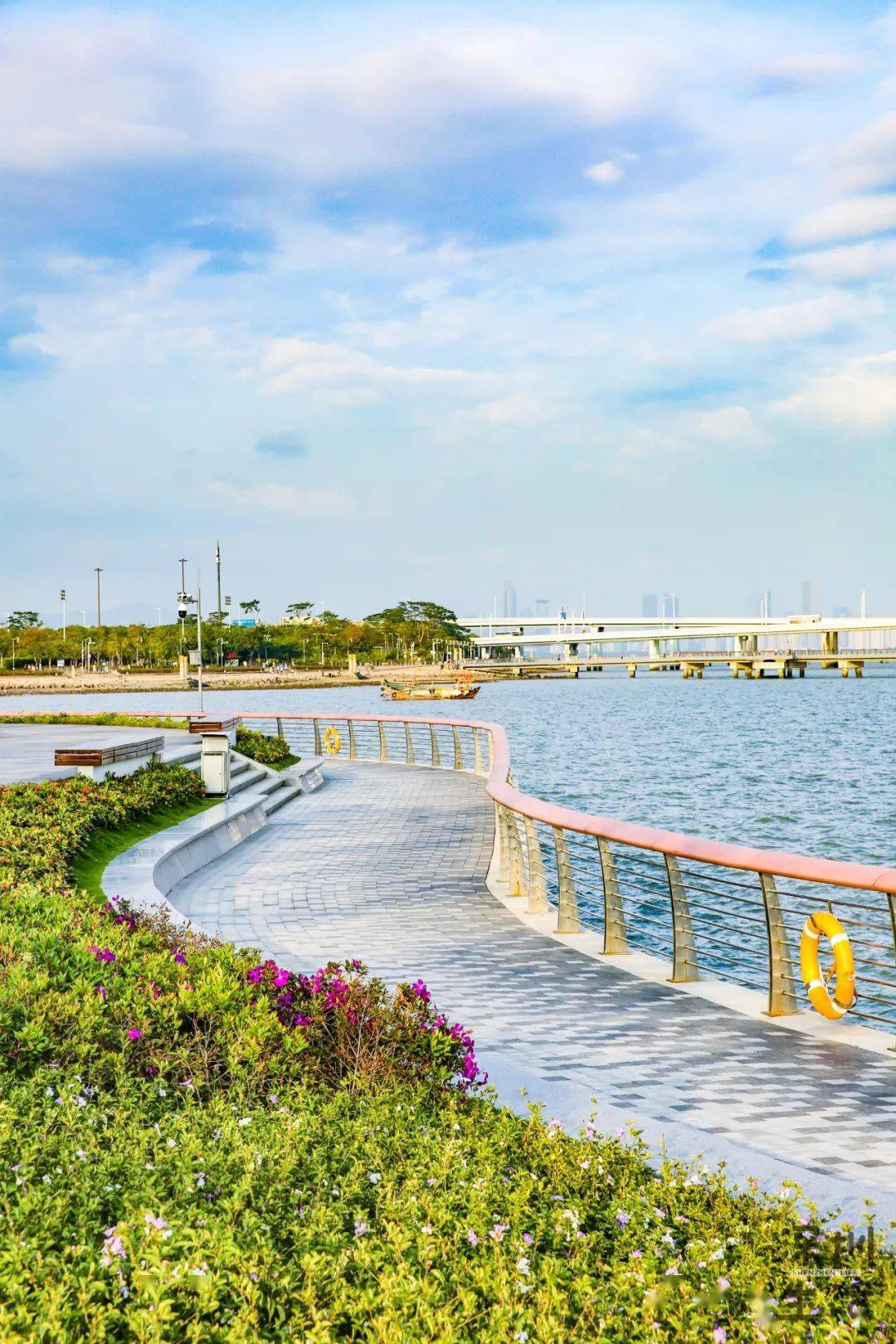 夏天来深圳看海