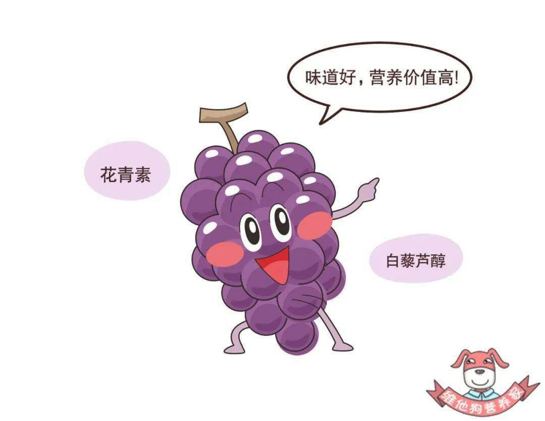 随着葡萄果皮的颜色不同,这些生物活性物质也有不同,并且两者还呈现