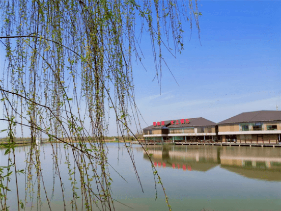 明珠湖畔呼吸着水边的新鲜空气欣赏着水中的百态游鱼当一回悠然的渔夫