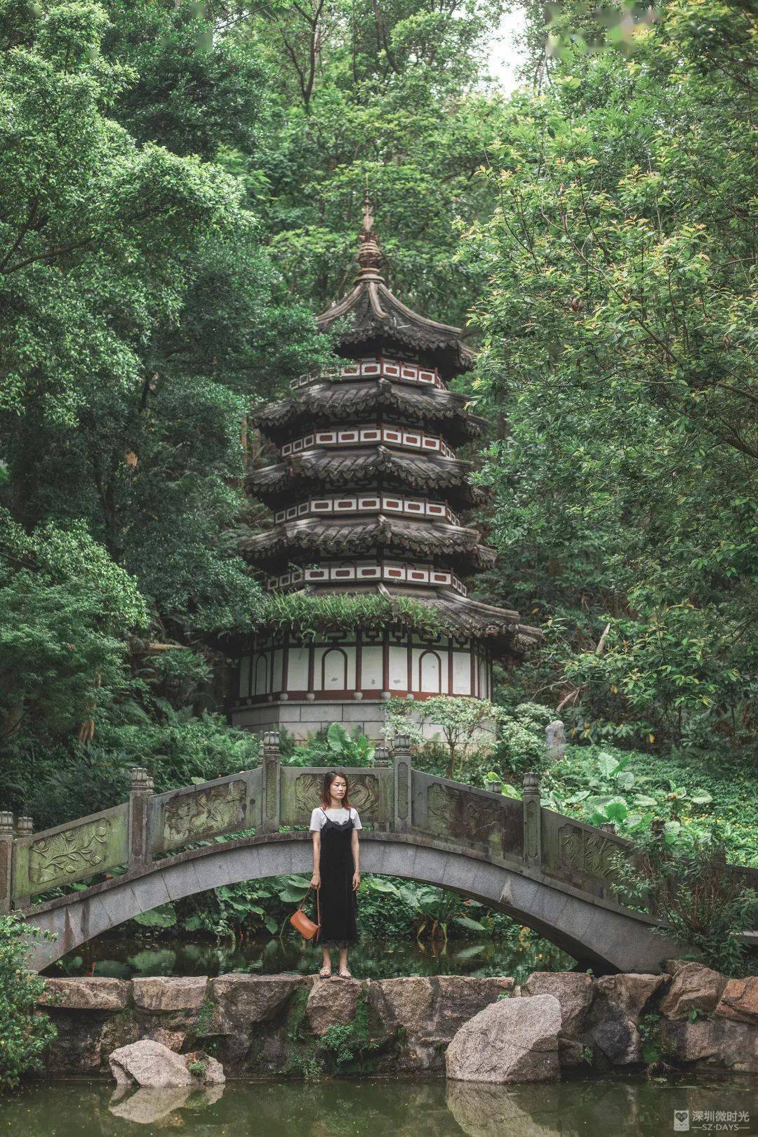 深圳少有的古风庭院，免费开放，一秒穿越到江南！