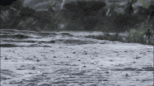 500_281gif 动态图 动图
