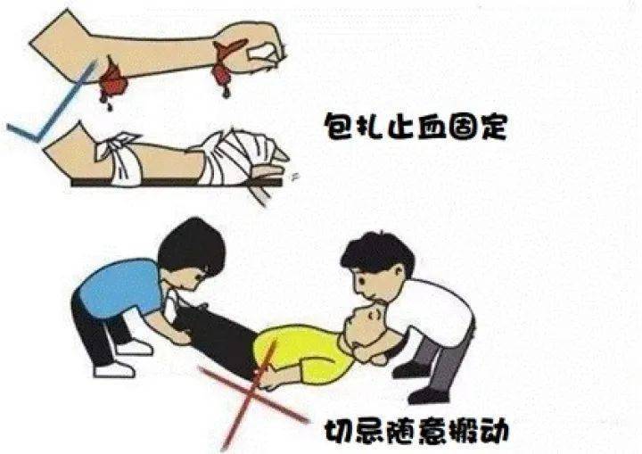 杨梅采摘需谨慎温州一周内救护车出动5次救治采摘杨梅受伤者