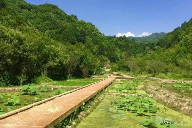 陝西旅遊:秦嶺這處高山溼地,藏著你嚮往的悠然自得