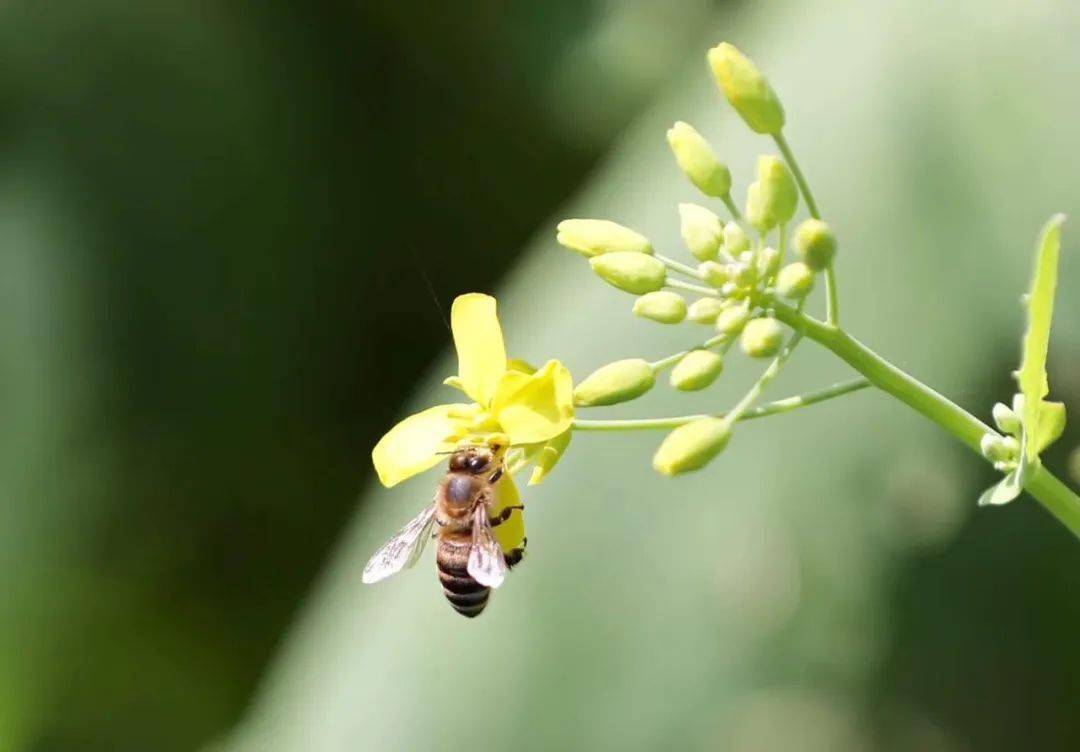 脑筋急转弯|190道,脑袋转晕了(快收藏起来)