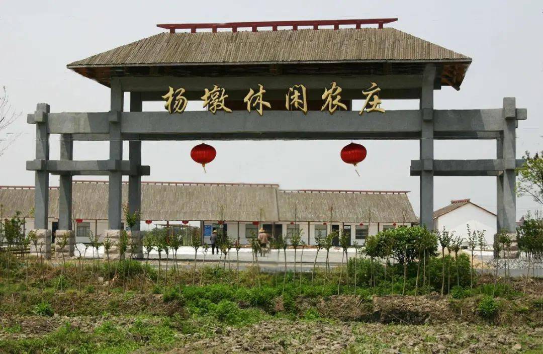 6月5日,来杨墩休闲农庄打卡网红天空玻璃幻境,赏味鲜果,划船射箭