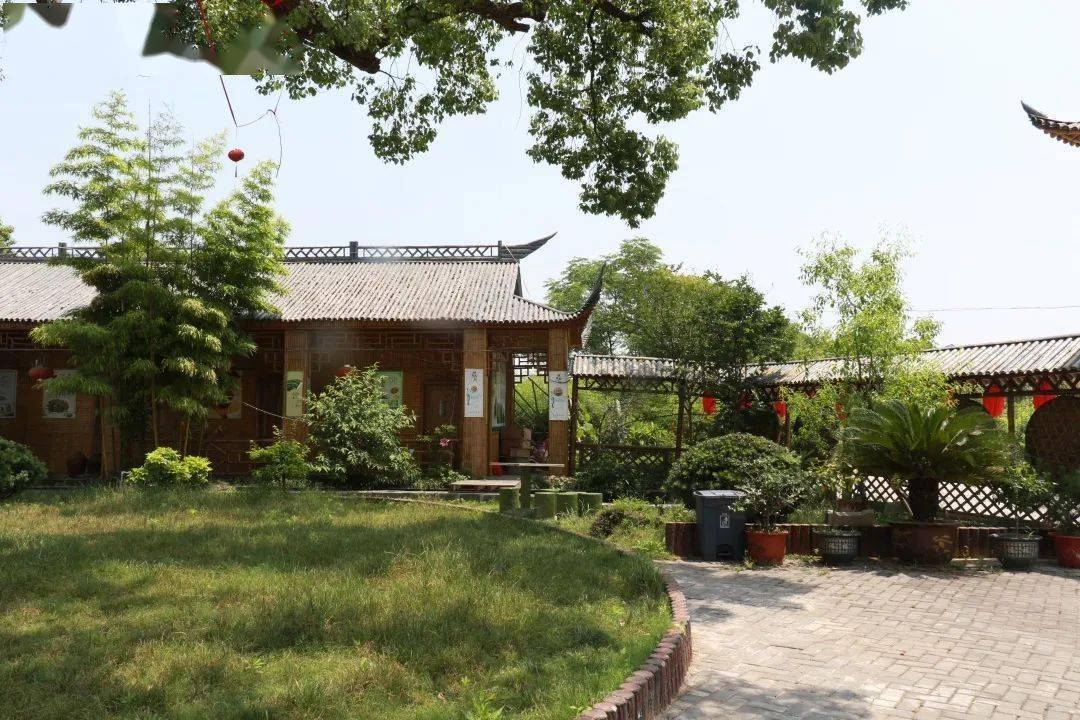 百亩竹园金华这个村子竹子成精了好玩