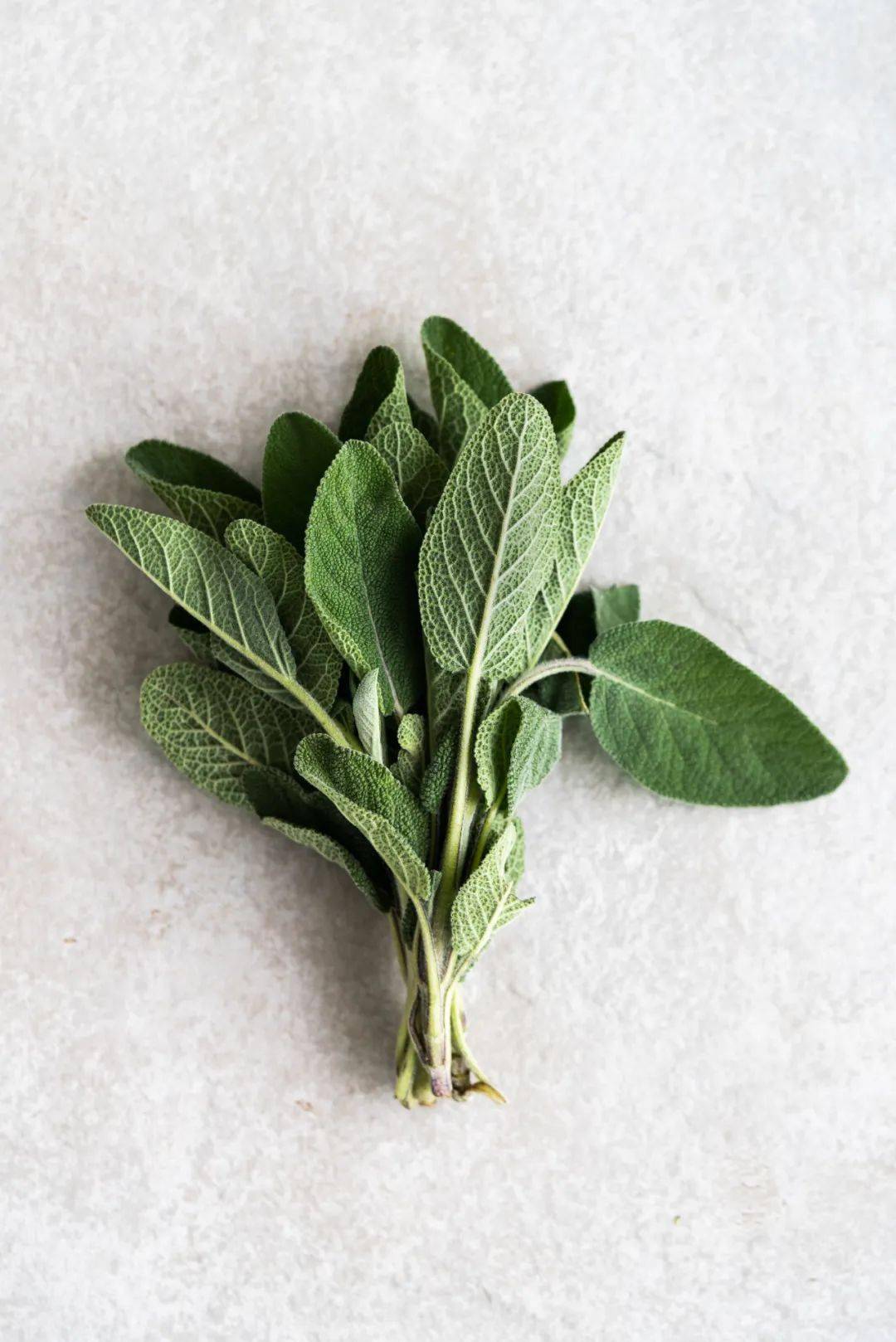 十步香草 来自搜狐网