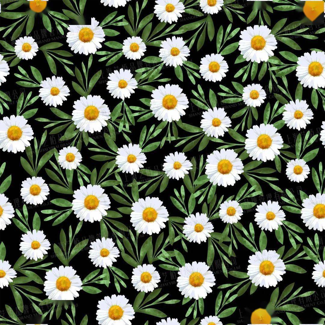 图案趋势 | 顶流明星撑腰的小雏菊,谁用谁时髦_印花