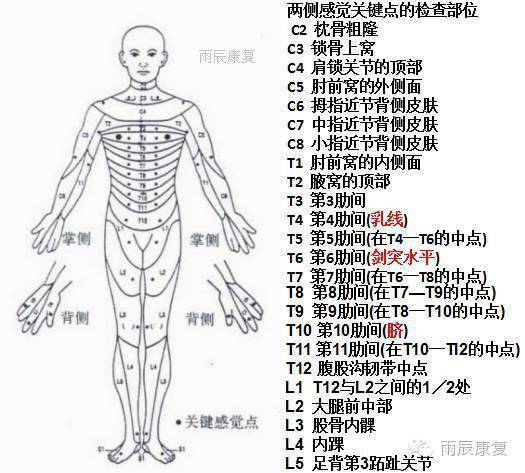 脊髓损伤超全面总结超全