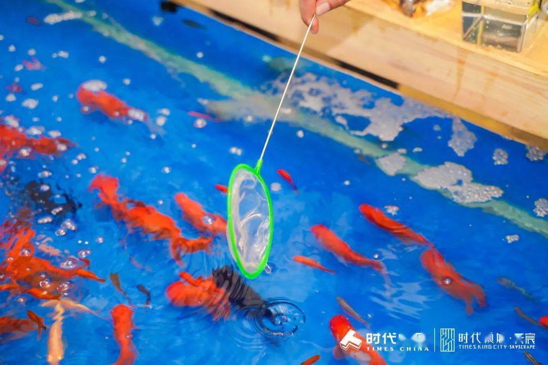 鱼趣味捕鱼大行动03实拍图拍照打卡发朋友圈当然也有些童心未泯的"大