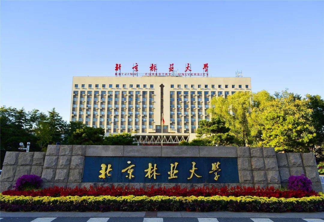 招聘| 北京林业大学2020年非教师岗位招聘启事(第二批)_投递