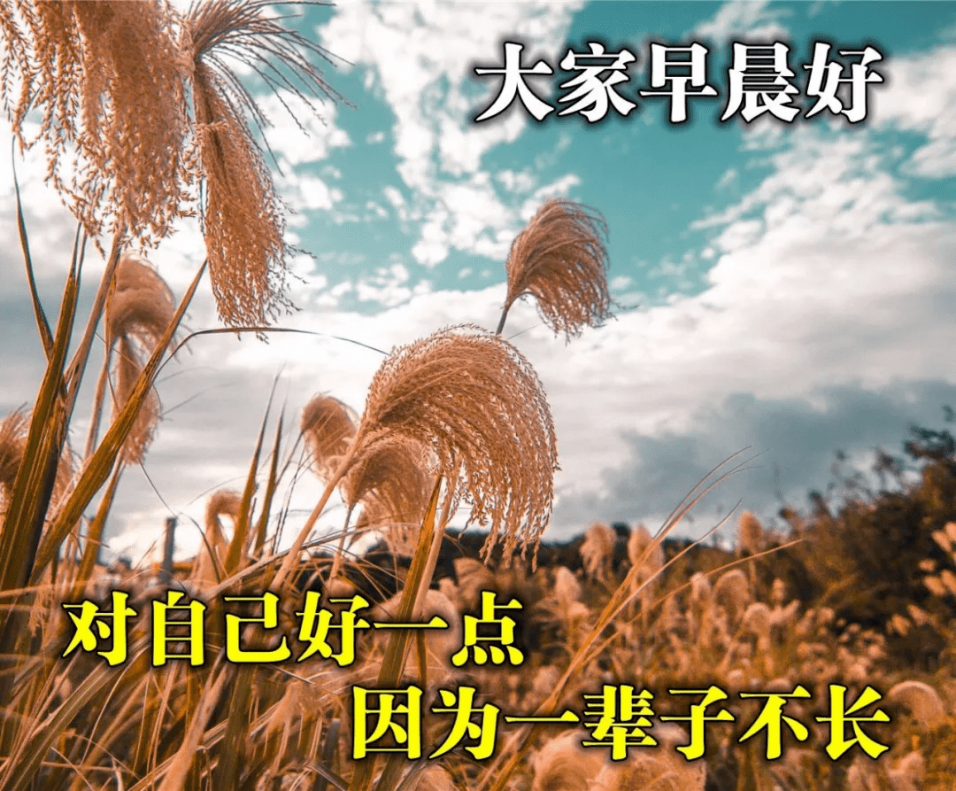 新的六月最美的早上好问候图片大全 阳光唯美的早安祝福表情包