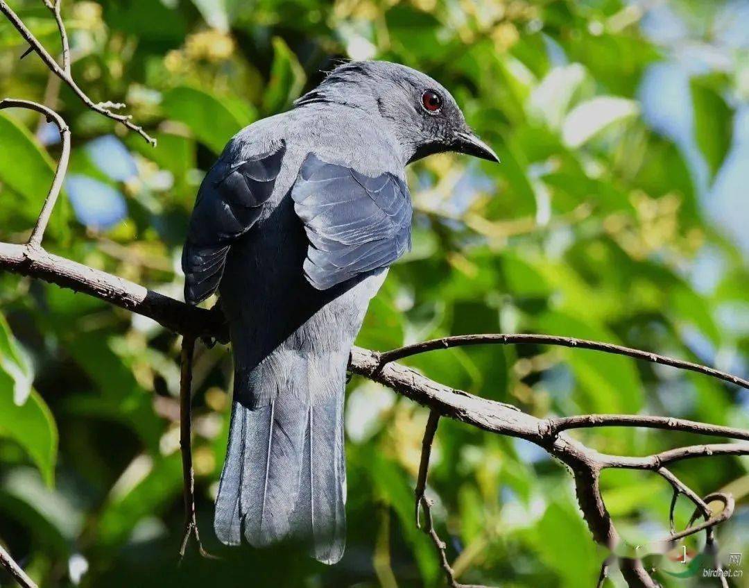 芒种一收一种幸福可期