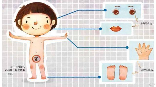 【书香战"疫"】多彩绘本 有声阅读——第12期《皮肤的秘密》