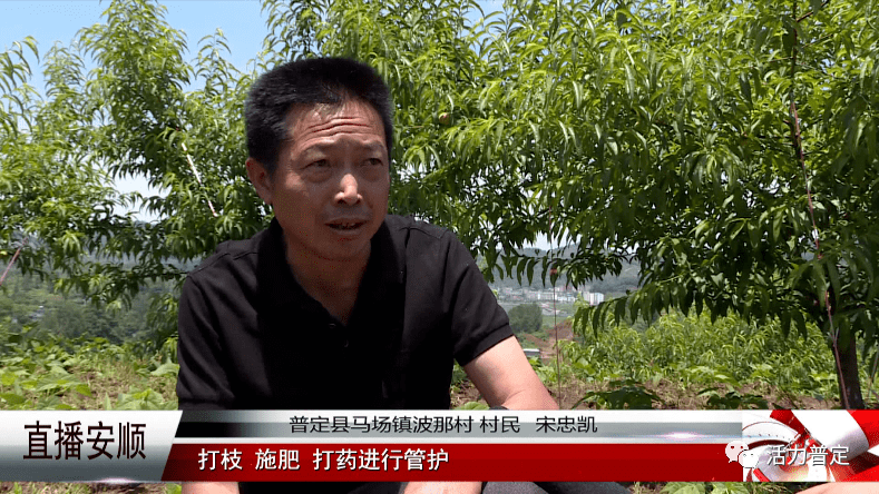 产业是巩固提升脱贫攻坚成效,奠定乡村振兴的基石,马场镇推行"以短养