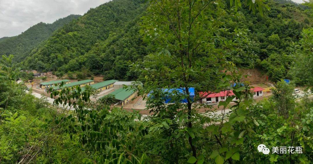 花瓶子镇又添一处肉驴养殖场肉驴养殖敲开特色致富门