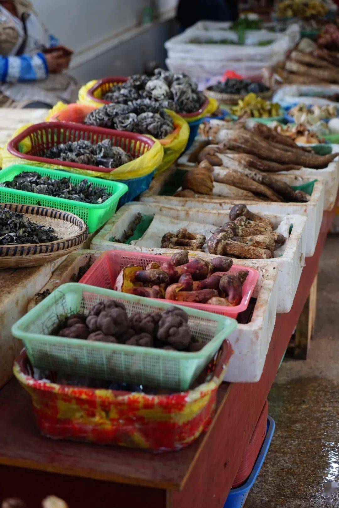 挤满了来自楚雄,昭通,大理,腾冲,香格里拉各地的野生菌,松茸,鸡枞