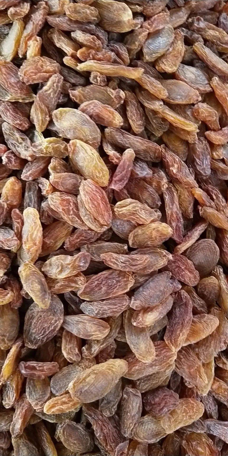 新疆特产香妃王新葡萄干