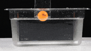 320_180gif 动态图 动图