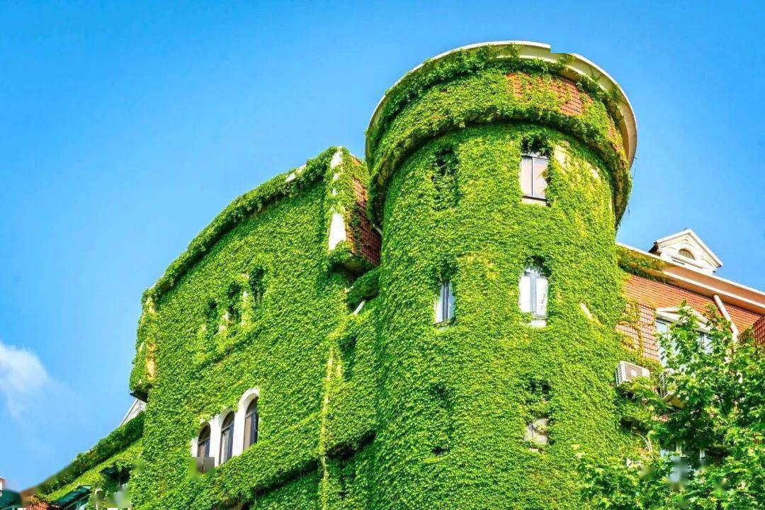 上海小马路上的这座绿楼火了