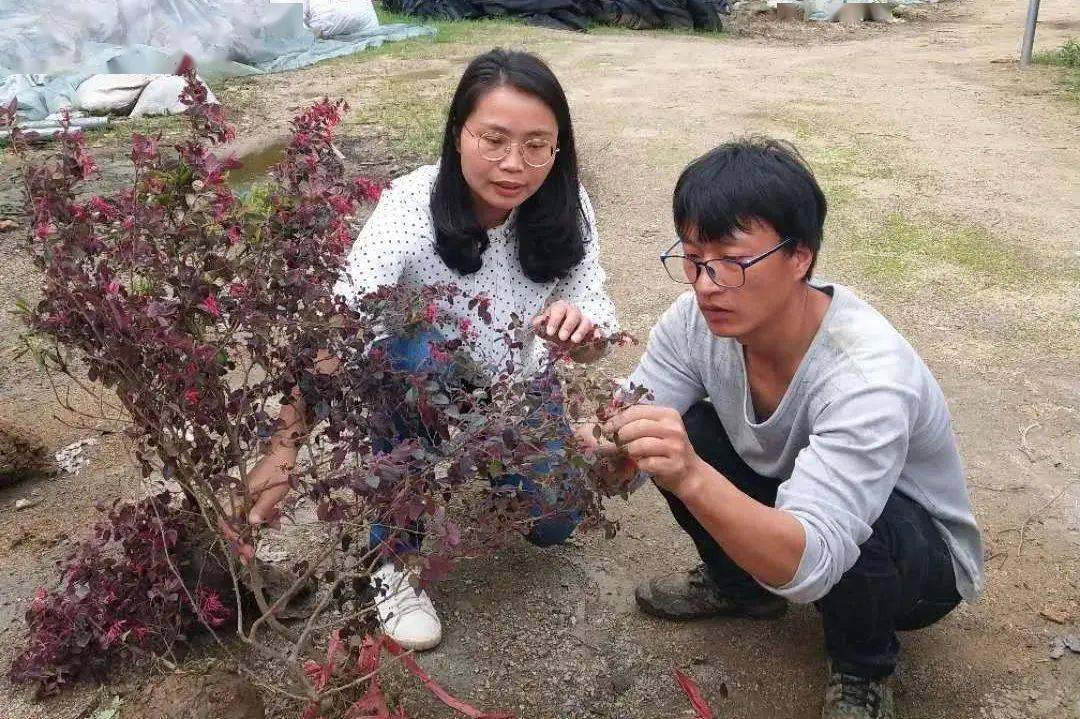 苏海兰在教学之余与肖天保交流一个多月后,他很好