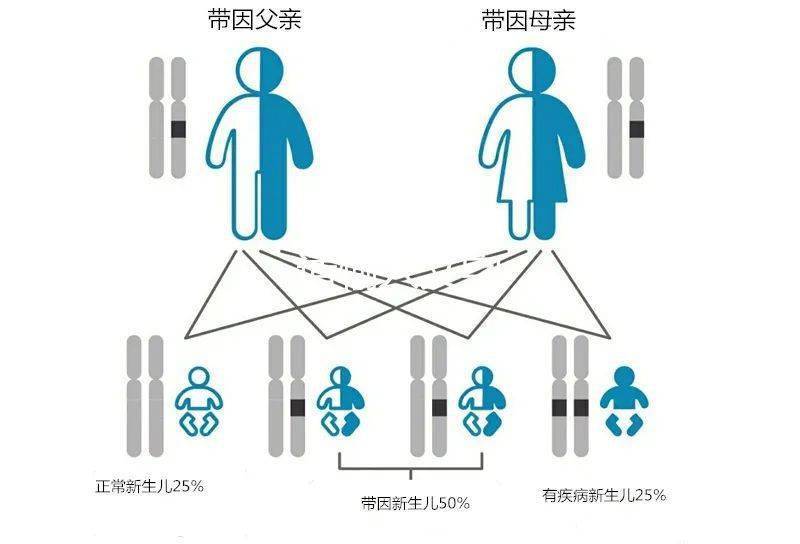 遗传疾病影响大 如何知道胎儿是否有遗传疾病 基因