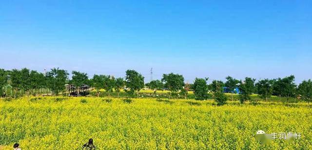 丰润一处网红打卡地——燕沣园乡村游_生态