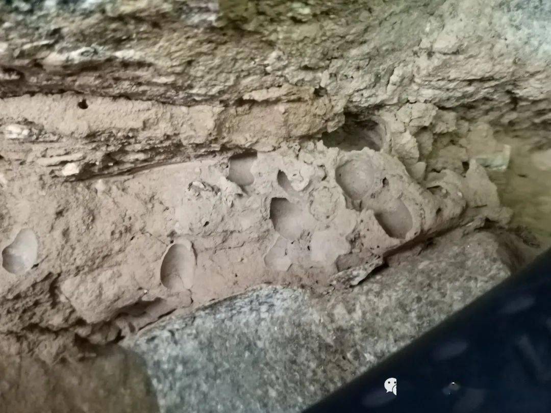 尊敬的兰大王乃昂教授是泥蜂窝还是泥石流