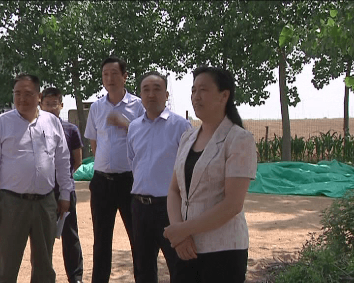 灌云电视台6月4日《灌云新闻》