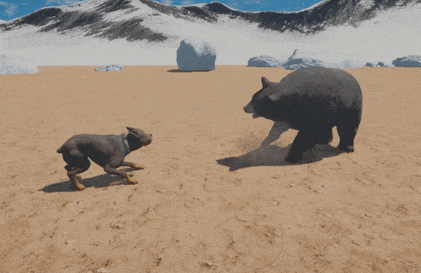 狗王比特犬主动挑衅棕熊未料对方出大招