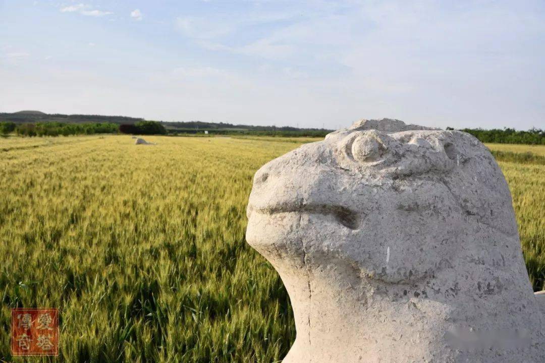 原创李渊父亲李昞兴宁陵